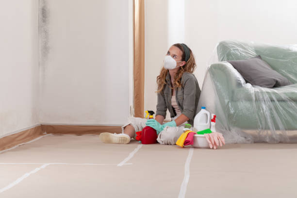 Reliable Basement Mold Remediation contractor in Pine Brook, NJ by Car Mold Remediation
